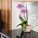 Roel Appartement